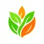 Buy Nutriment.net – Premium domain name for sale at NameGULF marketplace